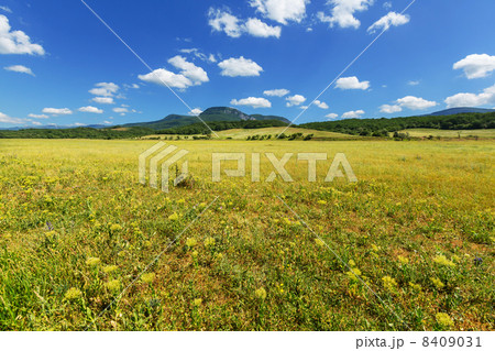 Summer meadow Summer meadow 8409031