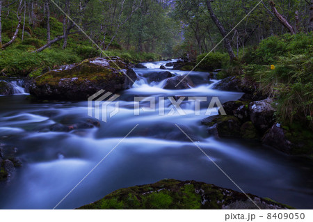 Creek in forest 8409050