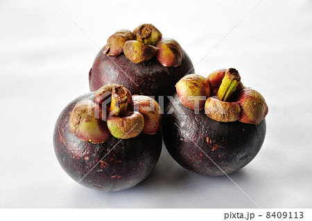 マンゴスチン 8409113