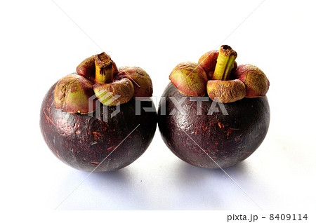 マンゴスチン 8409114