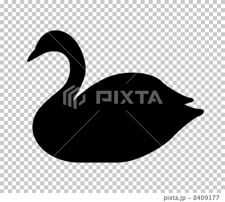 Swan's silhouette Swan's silhouette 8409177