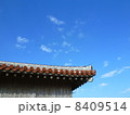 沖縄の風景 8409514
