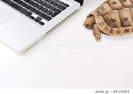 Slow connection and computer as a turtle Slow connection and computer as a turtle 8410065