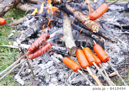 Picnic in nature, preparing sausage Picnic in nature, preparing sausage 8410494