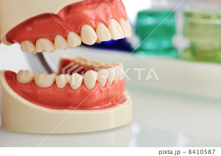 Dental jaw 8410587