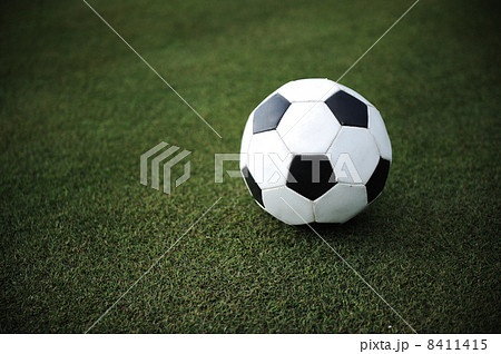 Football on grass 8411415