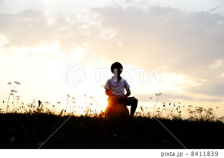 Silhouette, group of happy children playing on meadow, sunset, summertime 8411839