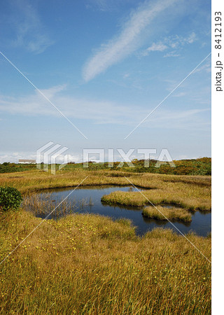 弥陀ヶ原湿原の池塘と秋の青空 8412193