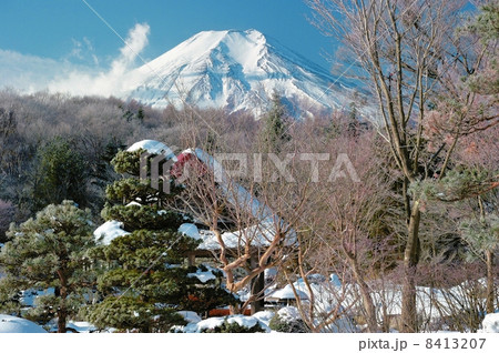 庭園から望む富士山 庭園から望む富士山 8413207
