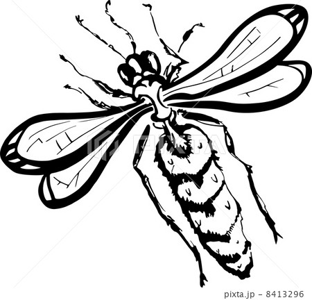 Wasp (black and white) 8413296