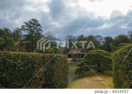 桂離宮　住吉の松 8414457