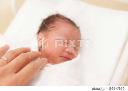 出産当日　日齢０　新生児 8414562