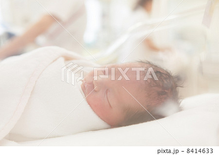 出産当日　日齢０　新生児 8414633