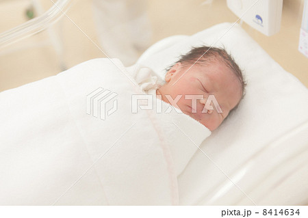 出産当日　日齢０　新生児 8414634