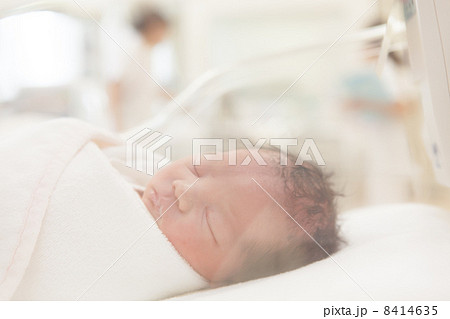 出産当日　日齢０　新生児 8414635