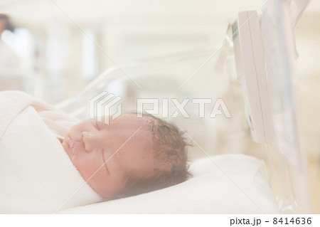 出産当日 日齢0 新生児 出産当日 日齢0 新生児 8414636
