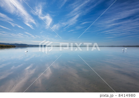 鳥の楽園　十三湖 8414980