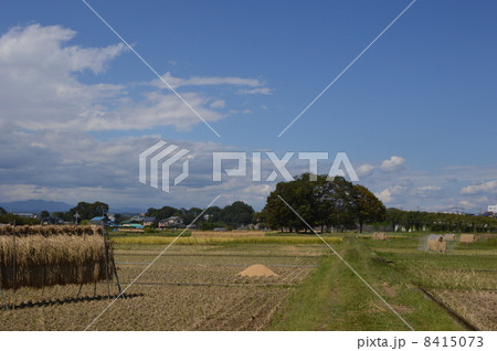東京郊外八王子市の１０月 8415073