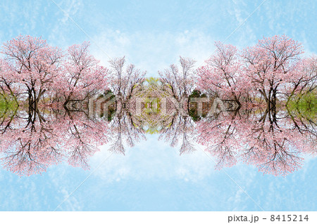 桜のパラレルワールド 8415214