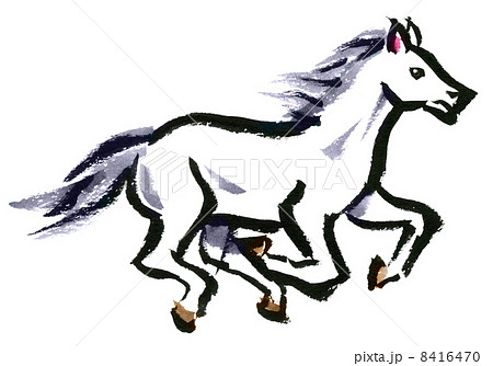 疾走する白馬 8416470