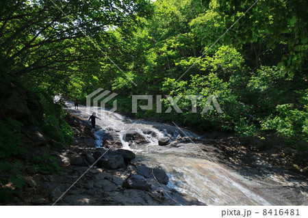 カムイワッカ湯の滝 8416481