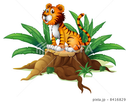 A big tree with a tiger A big tree with a tiger 8416829