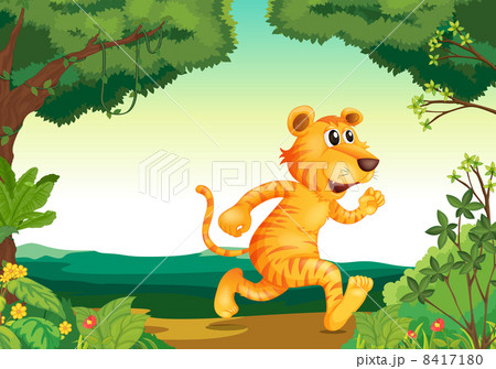 A tiger running along the forest A tiger running along the forest 8417180