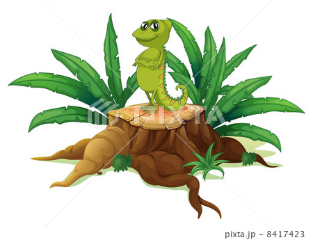 A cameleon above a wood A cameleon above a wood 8417423