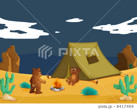 Bears camping 8417469