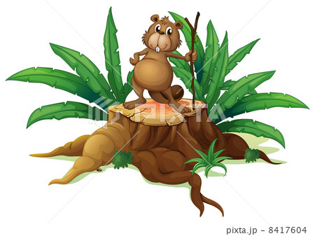 A squirrel above a trunk 8417604