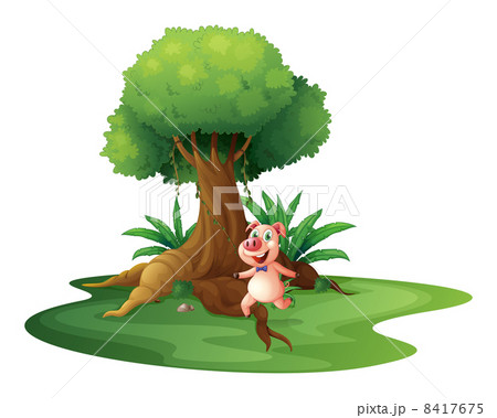 A pig standing under the big tree 8417675