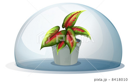 A dome with a plant inside a gray pot 8418010