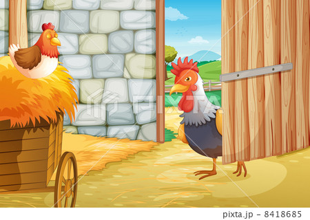 A rooster and a hen at the barnhouse A rooster and a hen at the barnhouse 8418685