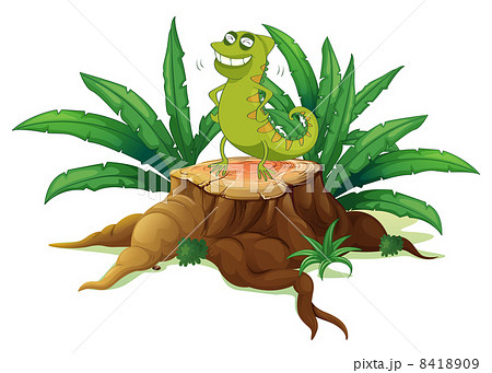 A green iguana above a trunk 8418909