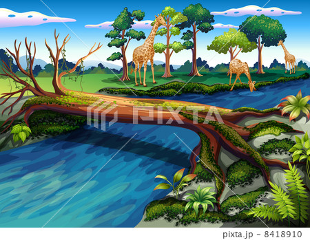 A flowing river at the forest 8418910