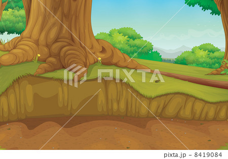 Tree trunk forest scene 8419084