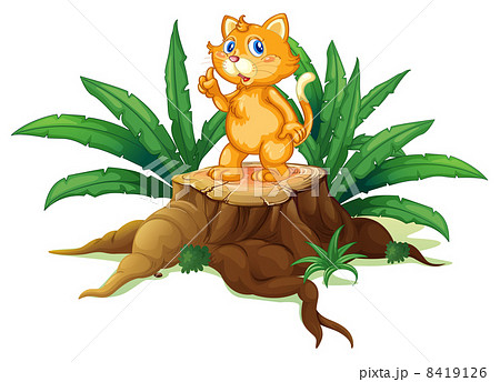 A cat standing on a stump with leaves A cat standing on a stump with leaves 8419126