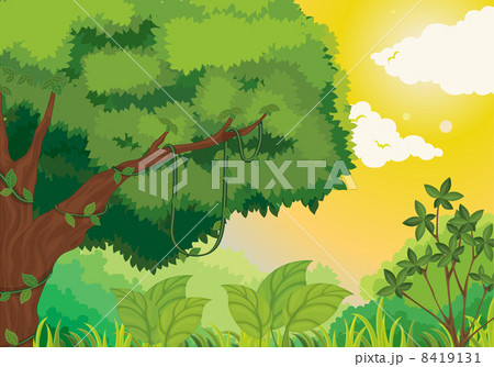 Jungle at sunset Jungle at sunset 8419131