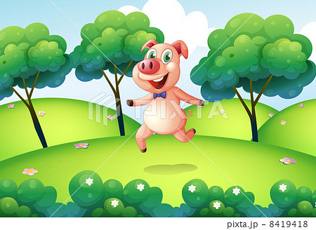 A pig at the hilltop 8419418