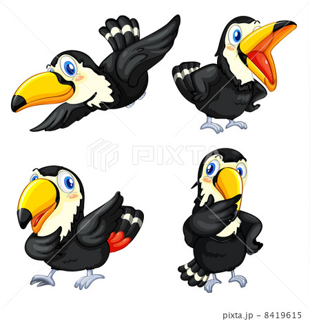 Toucan bird series Toucan bird series 8419615