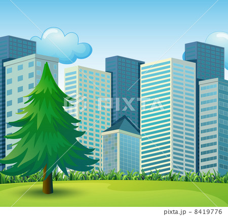 A big pine tree growing near the tall buildings A big pine tree growing near the tall buildings 8419776