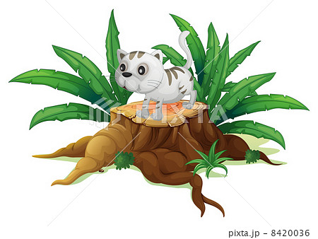 A cute cat on a stump with leaves A cute cat on a stump with leaves 8420036