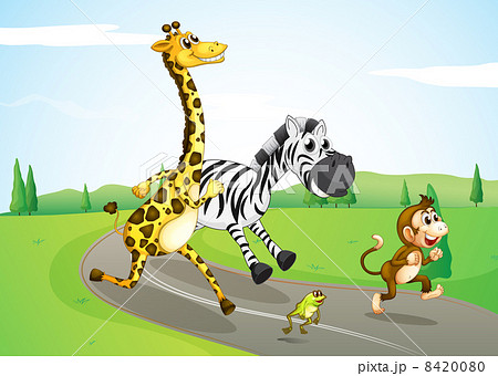 Animals running at the street Animals running at the street 8420080