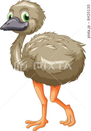 Emu Cartoonのイラスト素材
