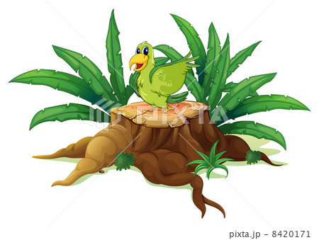 A green bird above a trunk 8420171