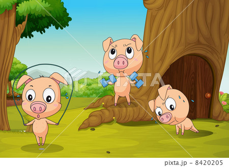 Three pigs at the forest 8420205