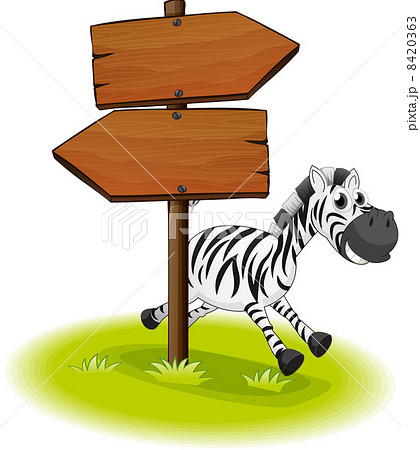 A zebra at the back of a wooden arrow board A zebra at the back of a wooden arrow board 8420363