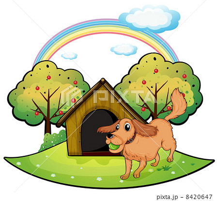 A dog playing outside the doghouse near the apple tree 8420647