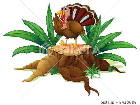 A turkey standing on a stump with leaves 8420688