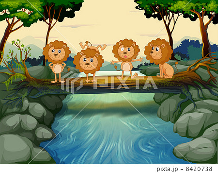 Four young lions at the river 8420738